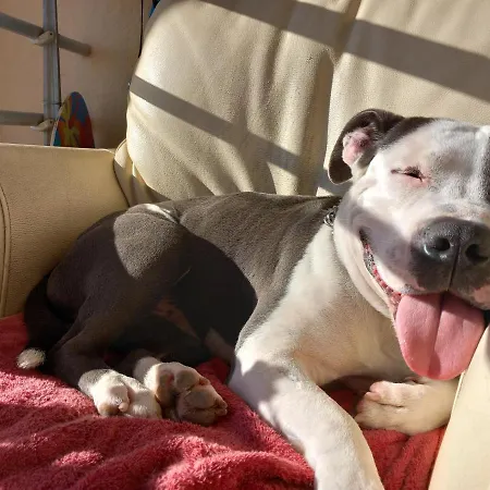 Habitación en casa particular D'hote - Vue Au Mont Saint-clair *